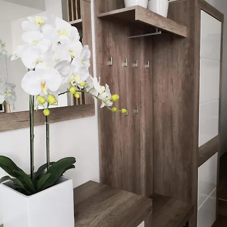 Apartment Slomskova *