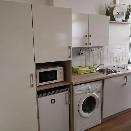 Apartment Slomskova *